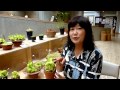 水戸市植物公園　園長の部屋　第45回 食虫植物展 の動画、YouTube動画。