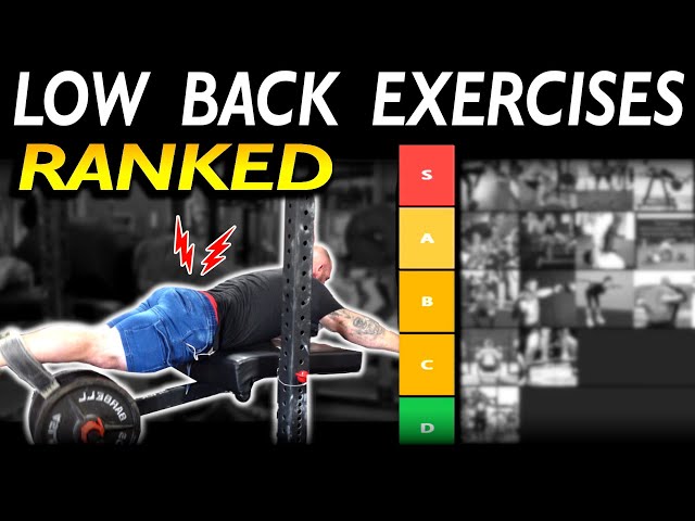 Best and WORST Lower Back Exercises for Strength and Injury Prevention ( Ranked!) 