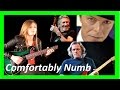 "Comfortably Numb" Tina S & Pink Floyd & David Bowie - (Complete Version)