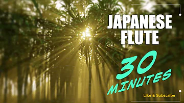30 Minutes Beautiful Relaxing Japanese Flute