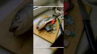 Fisherman Finds Gopro In Fish