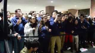 UF Student Government: Spring 2015 Election Results