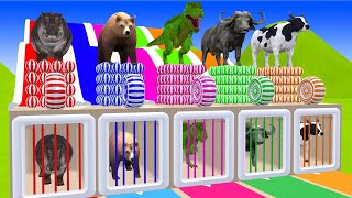 Long Slide Game With Elephant Gorilla Buffalo Hippopotamus Tiger - 3d Animal Game - Funny 3d Animals