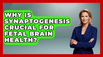 Why Is Synaptogenesis Crucial For Fetal Brain Health? - Brain Development Hub