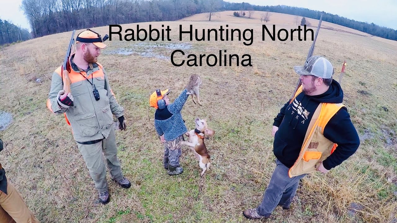 Hunting RABBITS with New FRIENDS in North Carolina (North Carolina