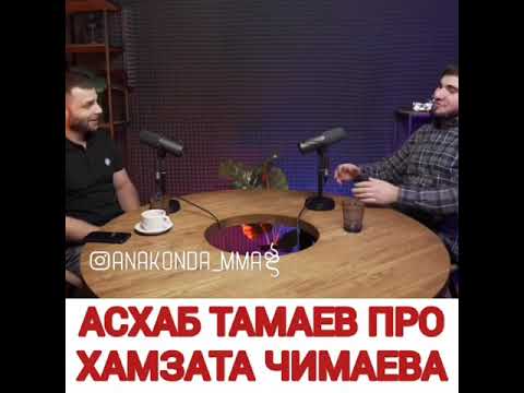 "Чимаев Интересная личность" Тамаев про Хамзата Чимаева