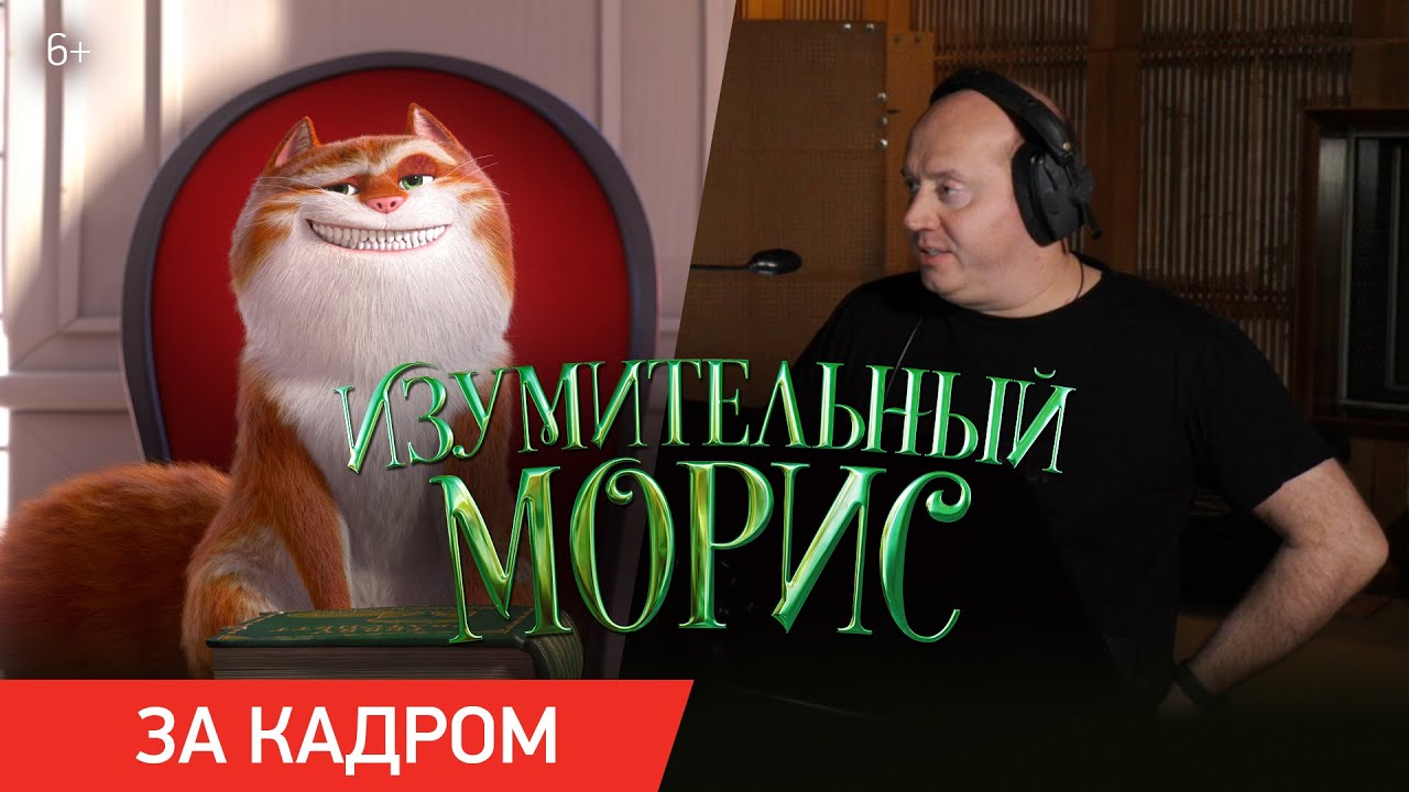 Кот морис