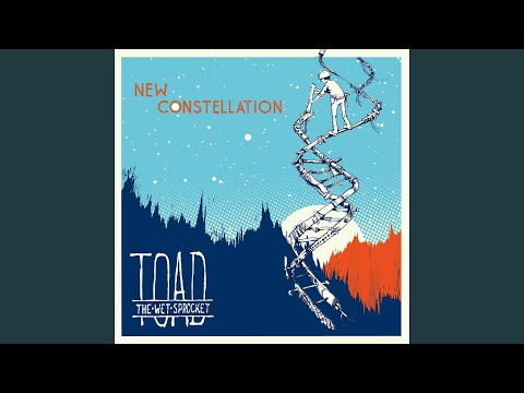 Life Is Beautiful - Toad The Wet Sprocket