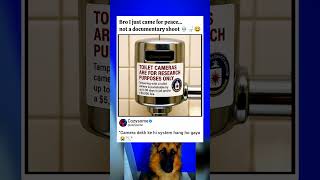 POV: Even the Washroom Isn’t Safe Anymore 💀🚽