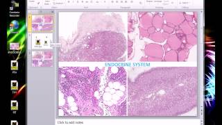 Displaying realtime microscopy on your PowerPoint slides!