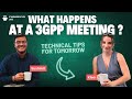 What happens at a 3GPP Meeting?
