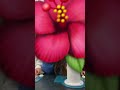 Smelling different bug scents #crazy #fypシ #hehe #bugs #smelly