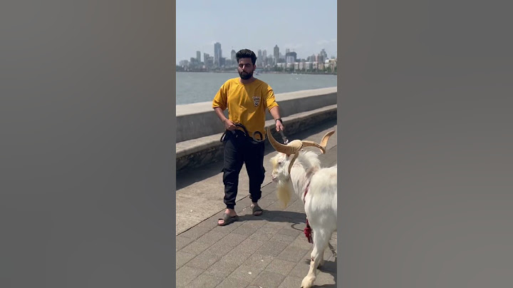 1lakh ka bakra #viral #youtube #youtuber #comedy #muslimah #islam #muslim #bakra #bakramandi