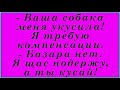 Смейтесь вместе с нами Первое на что смотрит мужчина...