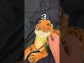 Look at da little babeh! #memes #funny #cute #poppytiger #poppertiger