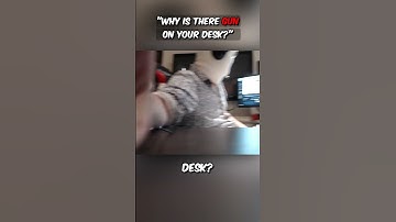 "why is there a gun on your desk?!"