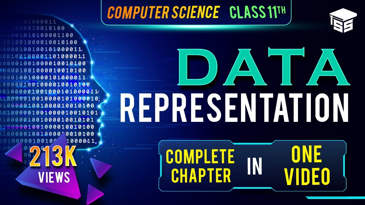 data representation class 11 notes