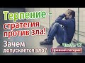 ЗАЧЕМ ДОПУСКАЕТСЯ ЗЛО? ТЕРПЕНИЕ - СТРАТЕГИЯ ПРОТИВ ЗЛА!