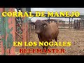 CORRAL DE MANEJO EN LOS NOGALES BEEFMASTER. BEEFMASTER SUPREMO EPISODIO 29