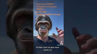 C’est quoi l’EMDR ? Comment fonctionne l’EMDR ou la thérapie IMA Express ® ?