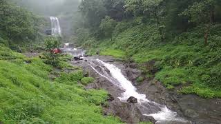 Waterfall @ Siddhagad