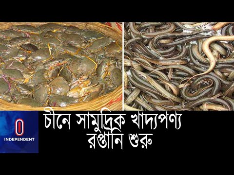 ভিডিও: সক্ষম পুনরায় শুরু