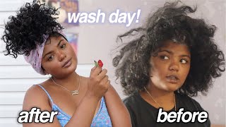 summer wash and go + go to lazy hairstyle for curls! | leahallyannah