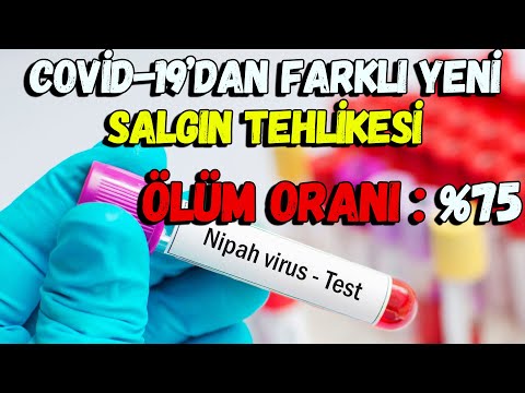 Covid 19'dan farklı bir salgın daha ortaya çıktı! Yeni vürüsün ölüm oranı %75  | Nipah Virüsü