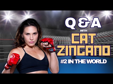 ვიდეო: რატომ ვებრძოლოთ კატა ზინგანოს?