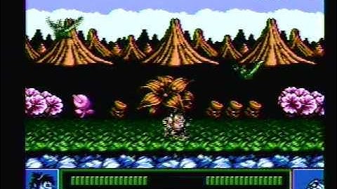 Joe & Mac [NES 316/669]