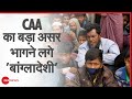 CAA का असर, India से भागने लगे Bangladeshi | Refugee | Impact | illegal Immigrants