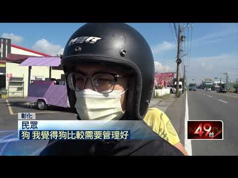 驚險火燒車！ 野狗竄出急閃... 車失控「撞電線桿」爆炸起火
