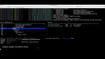 Quickly debugging Apache Camel from CLI