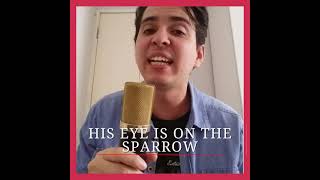 His Eye is on the Sparrow (Cover)