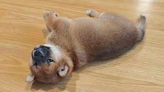 She really wants to go near her daddo whilst eating 😶