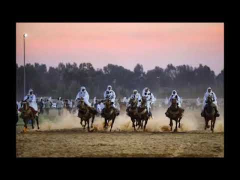 مجرؤده محمد حسن لا نديرؤ صؤب ولا غيه