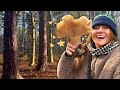 Winter Mushroom & Truffle Hunting | UK Wild Food Foraging