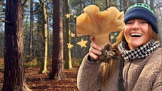 Winter Mushroom & Truffle Hunting | UK Wild Food Foraging