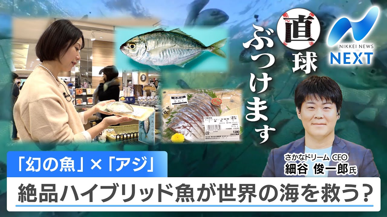 幻の魚」×「アジ」 絶品ハイブリッド魚が世界の海を救う？【NIKKEI 