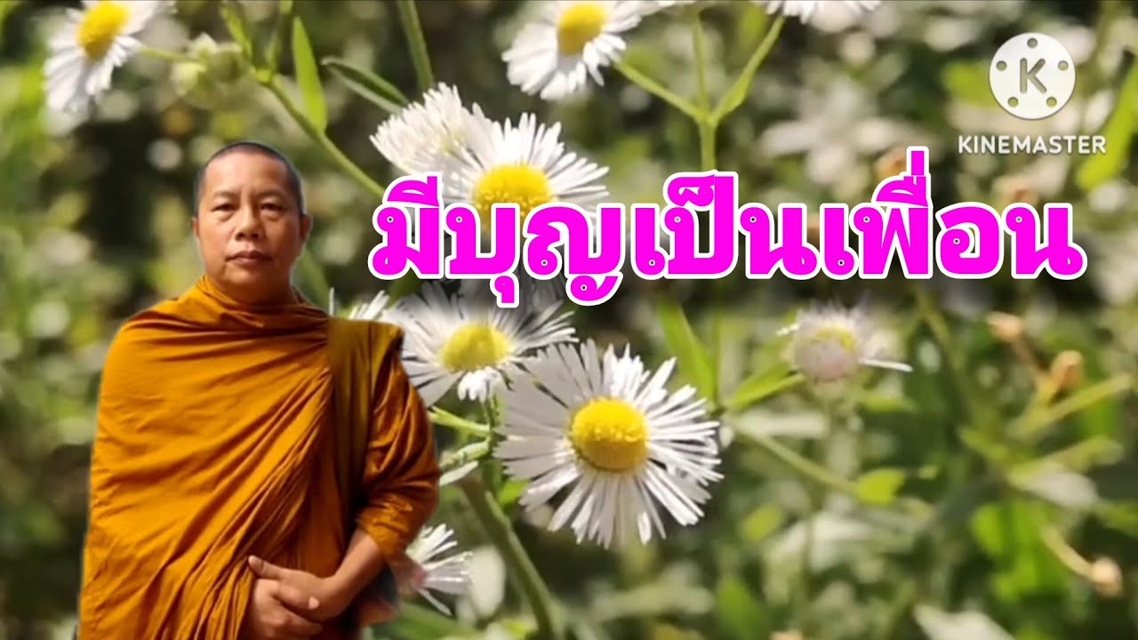 มีบุญเป็นเพื่อน