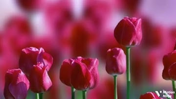 يأيها الناس اتقوا ربكم الربع الخامس من الجزء السابع عشر من سورة الحج الحصري المعلم للقران الكريم 🌿