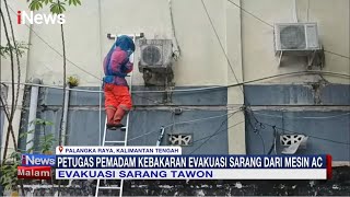Petugas Damkar Evakuasi Sarang Tawon dari Mesin Ac di Palangkaraya #iNewsMalam 21/01