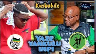 Kwehlulene imibono ngesenzo sikaNgizwe Mchunu sokungaseki uJG Zuma we MK Party