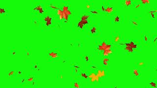 Tree Fall Green Screen Video Effect