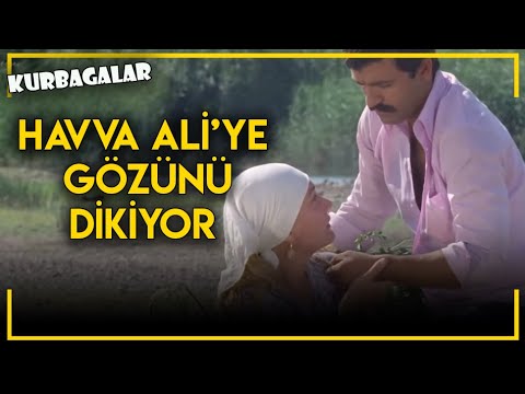 Kurbağalar - Havva, Ali'ye Gözünü Dikiyor!