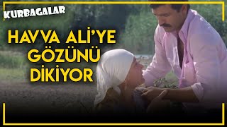 Kurbağalar - Havva, Ali'ye Gözünü Dikiyor!