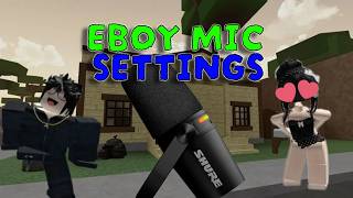 LEAKED EBOY MIC SETTINGS!! ( 2026 )