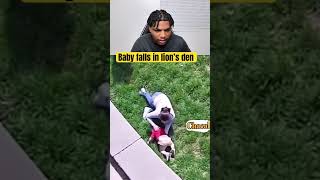 Baby Falls In Lions Den