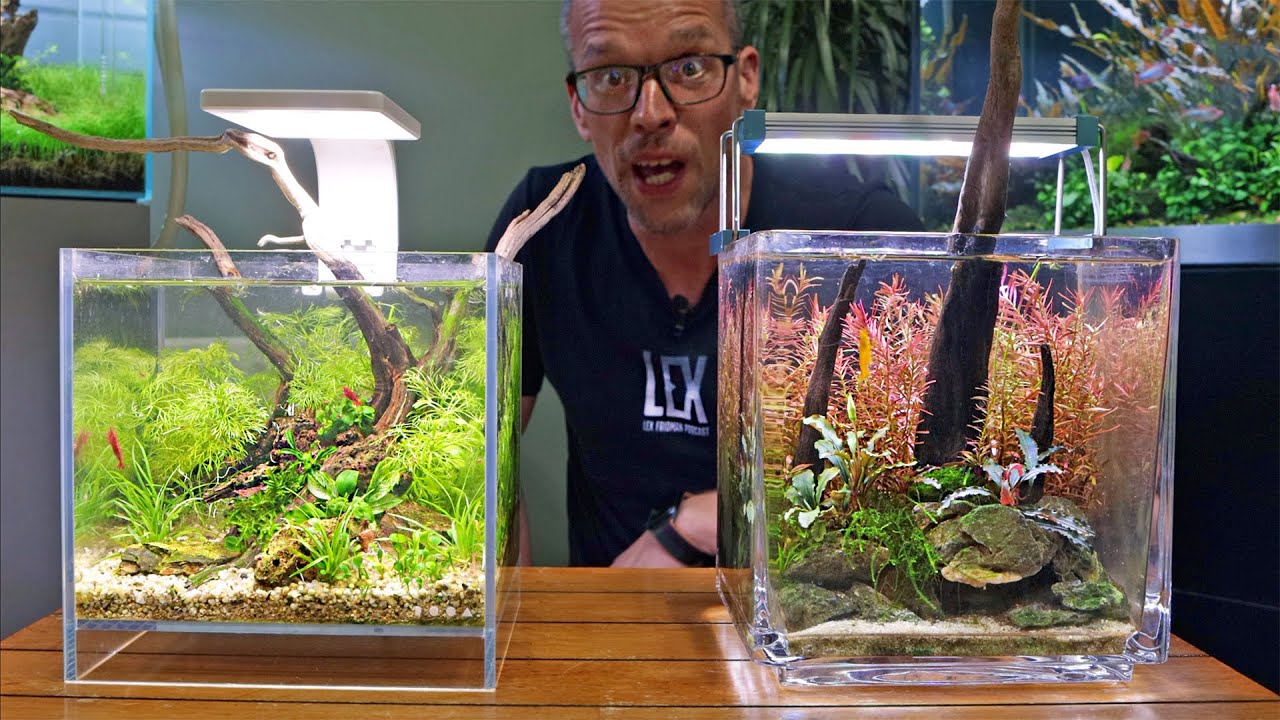 Nano Ecosystem Fish Tank You Can Put Anywhere! 