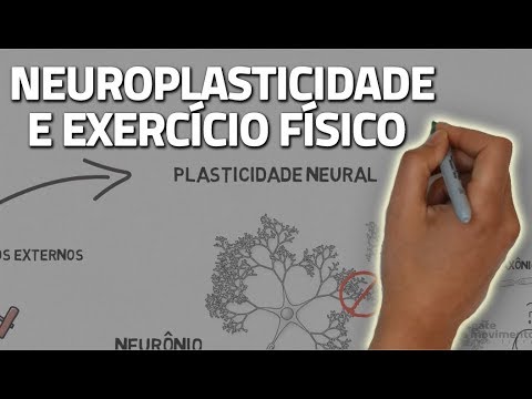 Vídeo: “A Riqueza Humana Não Deve Ser Medida Por Dinheiro, Mas Pelo Número De Conexões Neurais” - Visão Alternativa